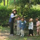 초록샘어린이집 이미지