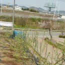 참조은농장 이미지