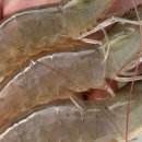 하늘부부농장 이미지