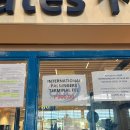 2122 | 인천-보홀 탁빌라란 제주항공 7C2121 / 7C2122 탑승 후기