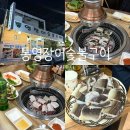 은행집숯불장어식당 | <부산 하단 맛집> 장어구이 찐맛집 "통영장어숯불구이" 내돈내산 후기