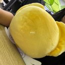 CU 세종소정점 | 1월 농놀의 시대는 또 온다