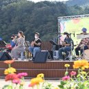 산소카페 청송군민음악회 이미지