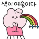 르벨로뷰티