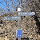 우산천 산책로 앞 횡단보도 하천쪽 | 남파랑길 10코스 창원 마산항입구-3.15해양누리공원...전망대-덕동항-유산고개-구서분교앞사거리 여행기록