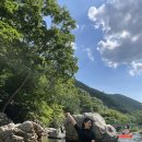 파래소 자연애 펜션 이미지