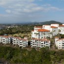 소노캄 제주 신규 빌라 6개동 오픈…오픈 기념 조식 뷔페 무료 제공 이미지