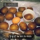 무농약 해금골드키위 50% 맛보기 이벤트 이미지