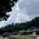 대승사입구 | 내돈내산)여름 템플스테이 문경의 숨겨진 보물 대승사 왕강추 후기 에어컨?선풍기?