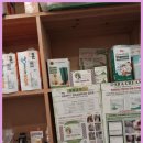 강아지를 미용하는 여자 이미지