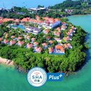 티리조트2 이미지