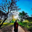 좋은환경 이미지