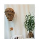 숑숑 그루밍 이미지