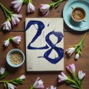 청소년 독서 스피치 | 28 정유정작가 장편소설 베스트셀러 치밀한 서사 몰입력 높은 소설 북클럽 독서후기 내돈내산