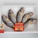 이조미가 이미지