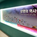 광명동굴 공룡체험전 이미지