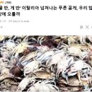 어가식품 티스토리