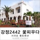 강정2442 꽃피우다 이미지