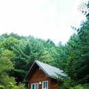 청태산자연휴양림 이미지