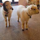 소소스토리펜션 | 포천 산정호수 다온채 펜션| 군대 자대 첫 면회 · 평강랜드 가족여행 숙소 독채 펜션 추천 찐! 내돈내산