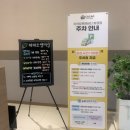화정 테라피 호텔식 아로마 테라피 카카오 풋앤 바디 화정점 후기