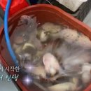 해수식당 이미지