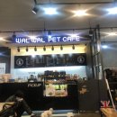 왈왈이애견카페웨스턴돔점 이미지