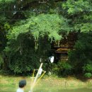 카메라 1나 들고 혼자 떠난 방콕 이미지