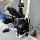 청담 고운 피부과 동물병원 이미지