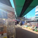 마석5일장 | 남양주 장날 구경 다녀왔어요! 마석 5일장 후기