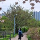 상현농장 | 피크닉의 계절이 왔다.(광교역사공원, 광교카페거리, 이마트 버터떡, 프로젝트헤일메리)