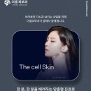 라임스킨셀