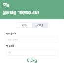 멍멍하루