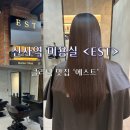 부일미용실 | 신사역미용실 에스트에서 신데렐라 클리닉 받은 후기 (부일 원장님) :: 모발클리닉 잘하는 신사동 EST...