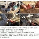 목공이야기 이미지