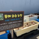 동매은빛 이미지