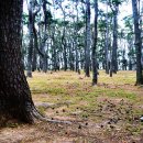 성북동-913 이미지