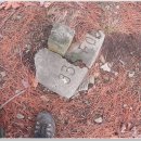 대마1리 이미지