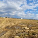 동읍1223 이미지