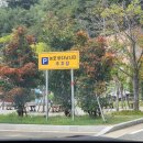 능포주차장 이미지