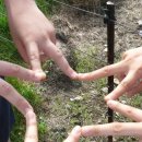 현우목장 이미지