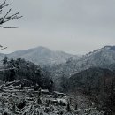 말구리농장 이미지