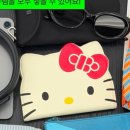 탱자상점 | [내돈내산] 서산탱자상점 핑구여권지갑