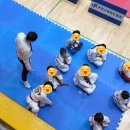 선 태권도 | 2026년 부천시의회 의장기 태권도대회 품새