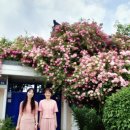 수원시 팔달구 창룡대로104번길 이미지