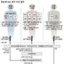 상식 ( FX마진거래, 세계경제포럼, 소득1~7분위, 장기기증의 날 ) 이미지