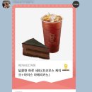 볼리스커피
