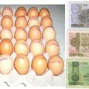 에그머니나 이미지