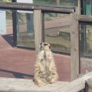 아라마루아쿠아카페 이미지