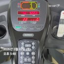 손관장휘트니스 | 목동역헬스장pt, 피트니스포에버 15번째 피티 운동 후기, 오목교역 10분 거리